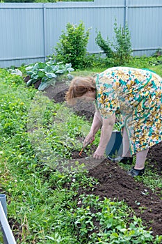 At the dacha, a woman in the garden weeds the beds.