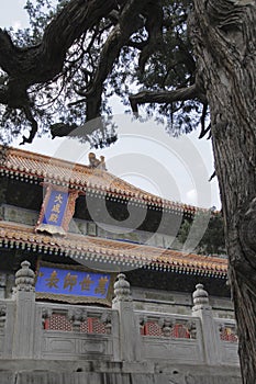Dacheng Hall, the main hall of the Temple of Confucius in Beijing photo
