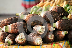 Dachine or Taro, Cayenne Market, French Guiana