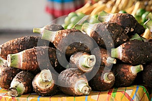 Dachine or Taro, Cayenne Market, French Guiana photo