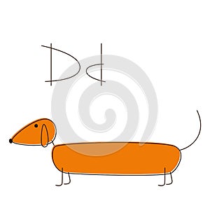 Dachshund