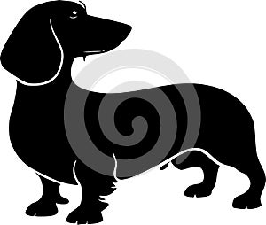 Dachshund - black and white isolated icon - vector illustration