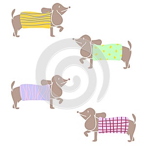 Dachshund character wearing knit sweater of various patterns. Vector illustration flat design. photo