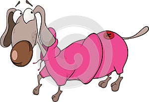 The dachshund in a coat. Cartoon