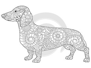 Dachshund coloring book for adults raster