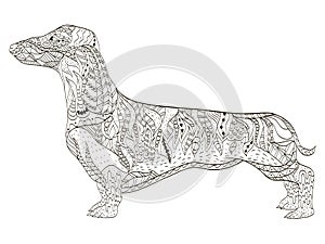Dachshund coloring book for adults vector