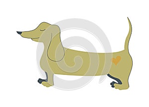 Dachshund dog cute silhouette vector illustration. Dog silhouette isolated on white background