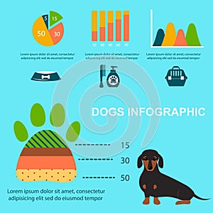 Dachshund dog playing infographic vector elements set flat style symbols puppy domestic animal illustration