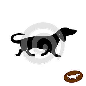 Dachshund dog running vector silhouette. Shortlegged badger dog.