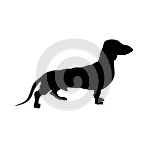 Dachshund Dog Silhouette