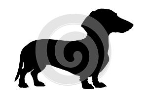 Dachshund Dog silhouette