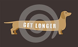 Dachshund, dog standing flat icon design, get longer