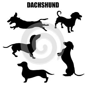 Dachshund dog vector icons