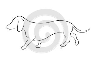 dachshund dog walk, side view line art