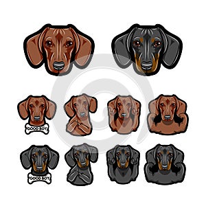 Dachshund dos. Bone, Rock gesture, Muscles, Middle finder. Dog face, head. Vector.