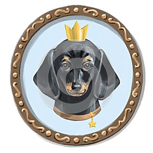 Dachshund face. Dog portrait muzzle head. Dog breed. Digital illustration