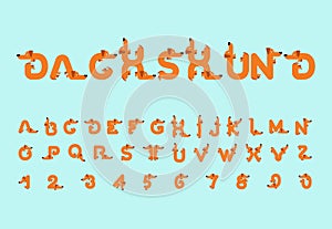 Dachshund font. Dog alphabet. Lettering home animal. ABC pet