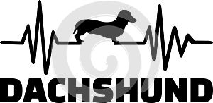 Dachshund frequency heart beat