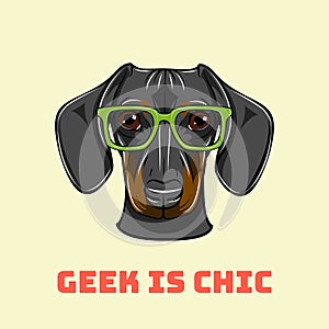 Dachshund geek. Smart glasses. Dog nerd. Geek is chic. Vector.