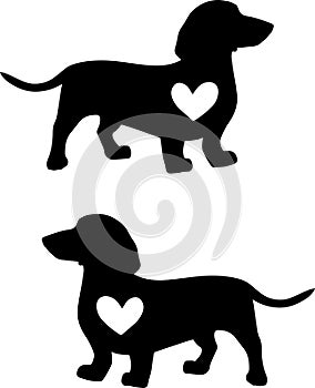 Dachshund heart, dog paw, dog, animal, pet, vector illustration file