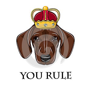 Dachshund king. Crown icon. You rule inscription. Royal symbol. Vector.