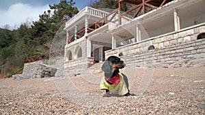 Dachshund puppy runs along ocean beach near hotel building