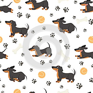 Dachshund seamless pattern. Adorable pets, funny dog long bodied breed, print for wrapping paper, textiles, wallpaper