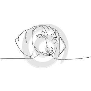 Dachshund short-haired, Teckel, dog breed, companion dog, hunting dog one line art. Continuous line drawing of friend