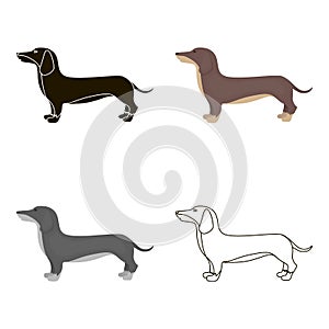 Dachshund vector icon in cartoon style for web