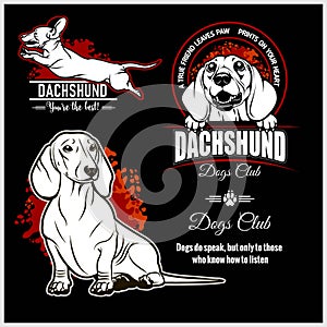 Dachshund - vector set for t-shirt, logo and template badges