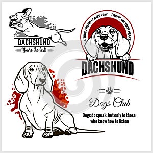 Dachshund - vector set for t-shirt, logo and template badges