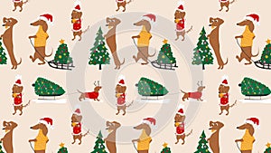 Dachshunds dogs and Christmas trees animation Loop Background.