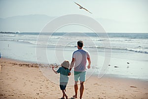 Dad and child enjoying outdoor. Father and son walking on sea.