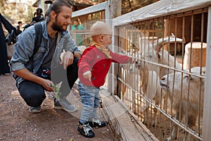 Dad and child interact with goat at the zoo.