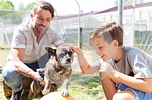 Dad and his son taking care of abandoned dog in animal shelter