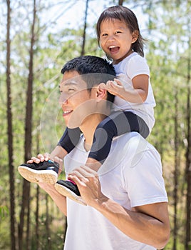 Dad and kid walking in the forest. Hiking trail on a sunny summer day