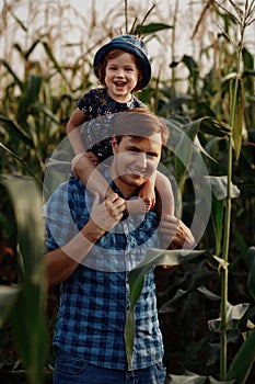 Dad with a little daughter on his shoulders are standing in a cornfield