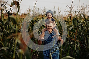 Dad with a little daughter on his shoulders are standing in a cornfield