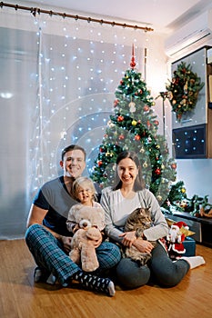 Dad and mom are sitting near the Christmas tree with a little girl and a cat on their laps