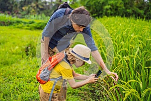 Dad and son identify plants using the application on a smartphone. augmented reality