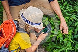 Dad and son identify plants using the application on a smartphone. augmented reality