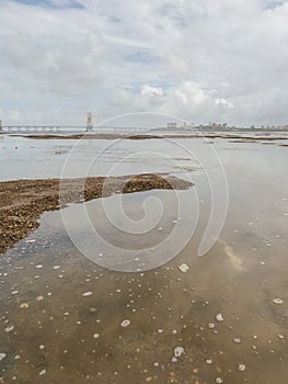 Dadar Chowpatty Beach With The View Of Bandra-Worli Sea Link in Mumbai, India