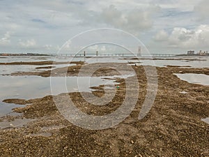 Dadar Chowpatty Beach With The View Of Bandra-Worli Sea Link in Mumbai, India