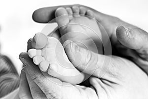 Daddy`s hands holding his son`s feet