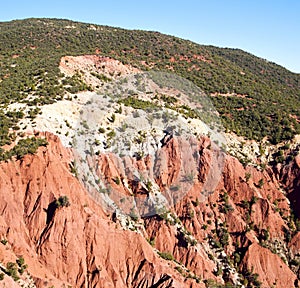 the dades valley in atlas moroco africa ground tree and nobo