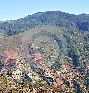 the dades valley in atlas moroco africa ground tree and nobody