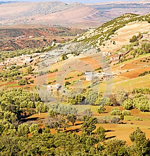 dades valley in atlas moroco africa ground tree and nobody