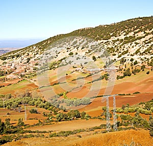 dades valley in atlas moroco africa ground tree and nobody