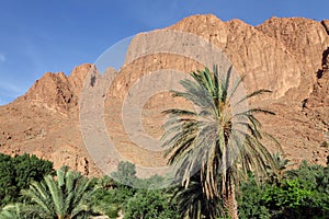 Dades Valley, Morocco