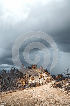 Dadia forest Restoration and Regrowth After Wildfire Evros Greece, mount Parnitha, Rodopi, Euboea Island, Evia, British